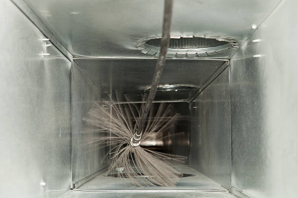 Best Affordable Duct Cleaning Services  in Burgaw, NC