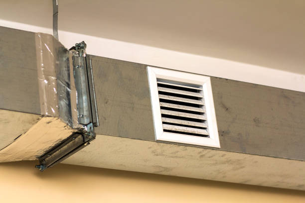 Best Ductwork Cleaning Services  in Burgaw, NC