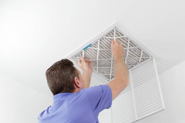 Best Home Air Vent Cleaning  in Burgaw, NC